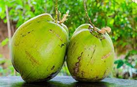 cocos frecos