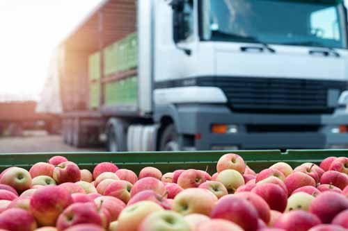 camion que transporta cajas de manzanas
